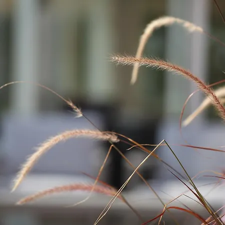 Maison d'hôtes Residenza Claudia Augusta